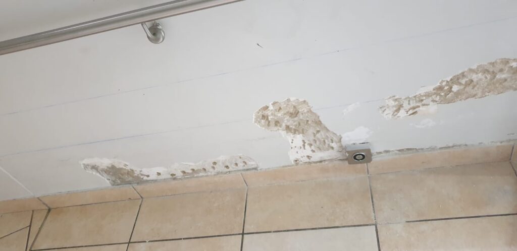 waterproof damp 1