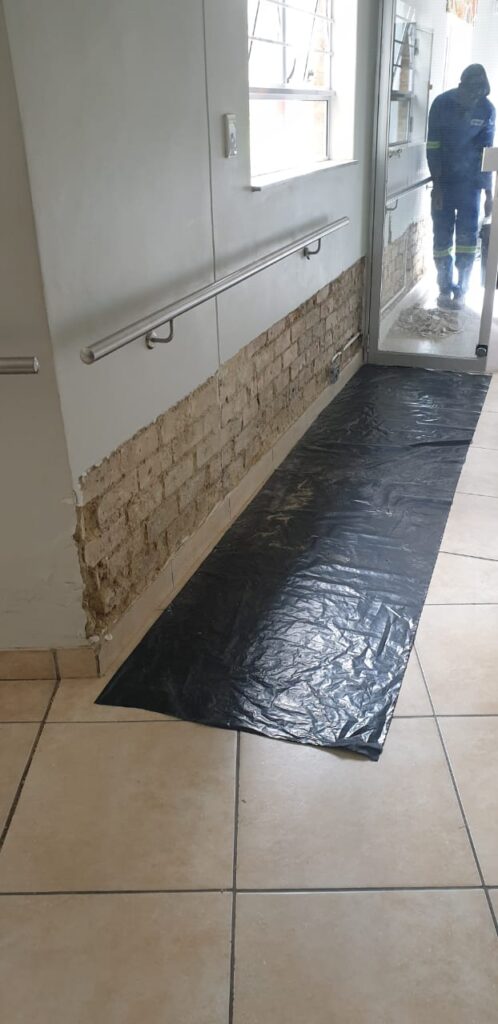 waterproof damp 2